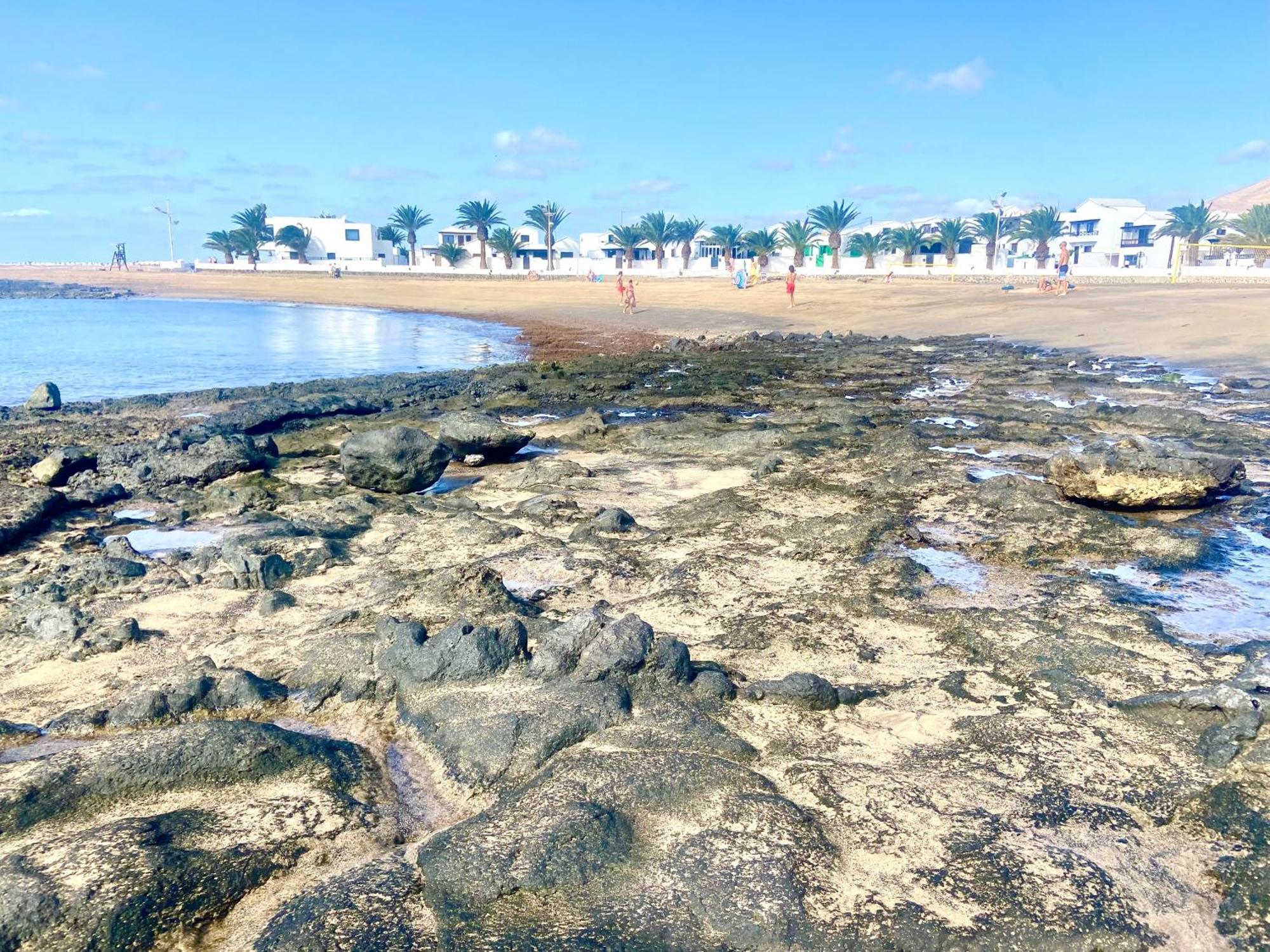 شقة Lanzarote Mar Y Playa بلايا هوندا المظهر الخارجي الصورة